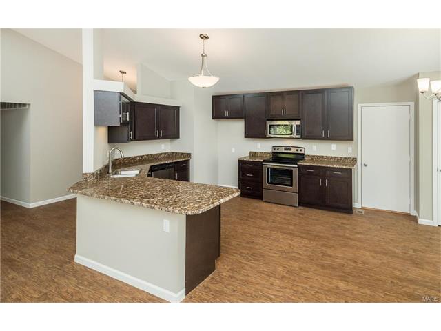 16161 Castlerea Blvd, Ellisville, MO 63021 photo 8
