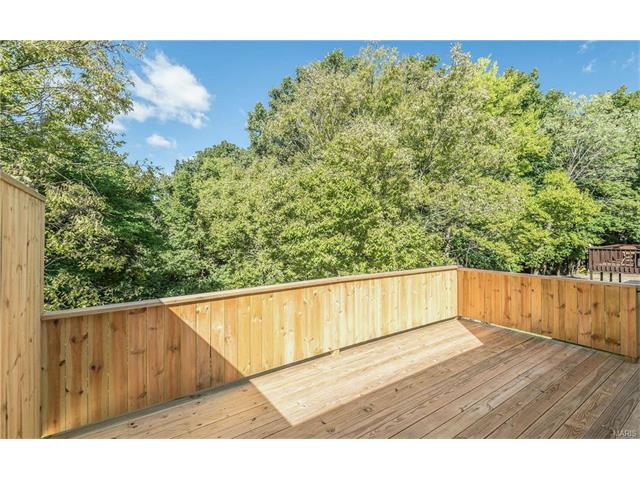 16161 Castlerea Blvd, Ellisville, MO 63021 photo 23