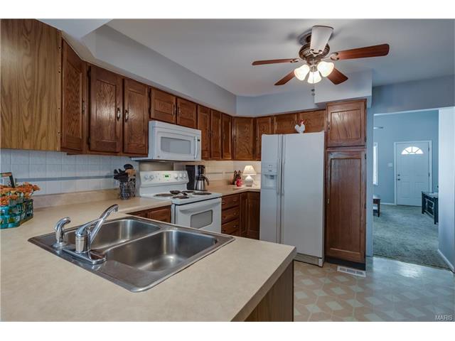 6331 Weber, Saint Louis, MO 63123 photo 7