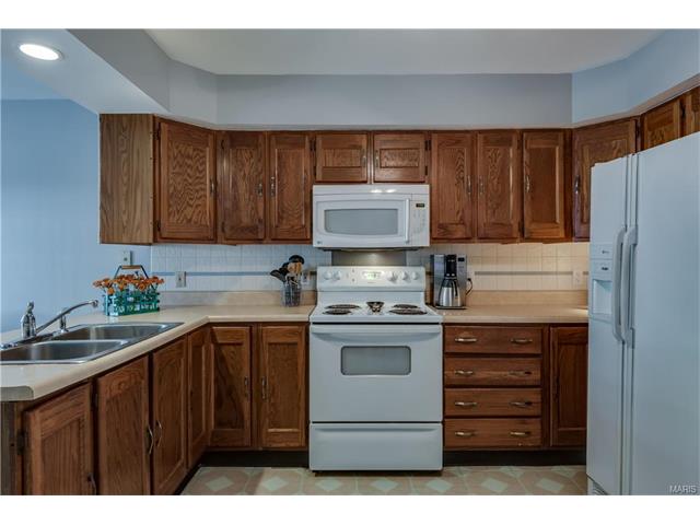 6331 Weber, Saint Louis, MO 63123 photo 6