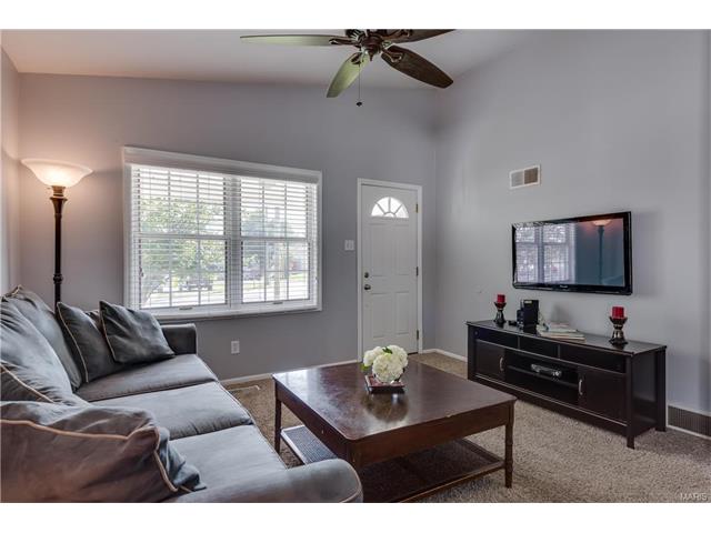 6331 Weber, Saint Louis, MO 63123 photo 4