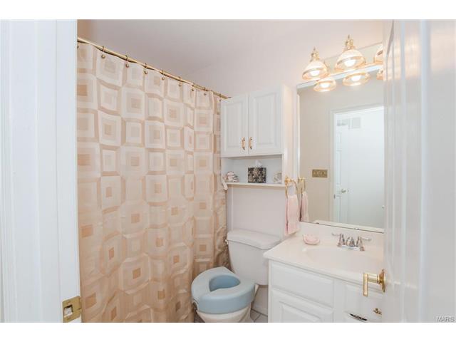 1309 Turtle Cv, Ballwin, MO 63011 photo 23