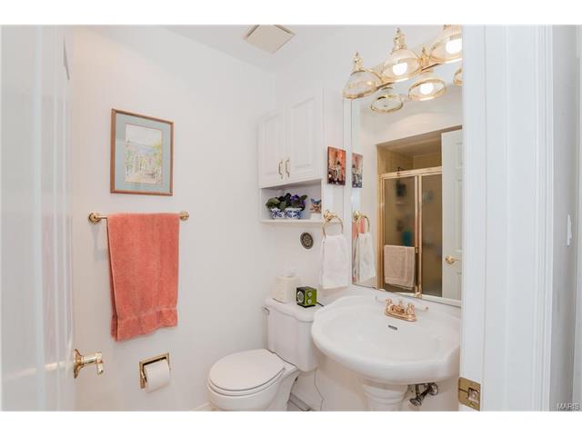 1309 Turtle Cv, Ballwin, MO 63011 photo 19