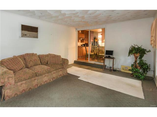 11027 Ebert, Saint Louis, MO 63136 photo 28