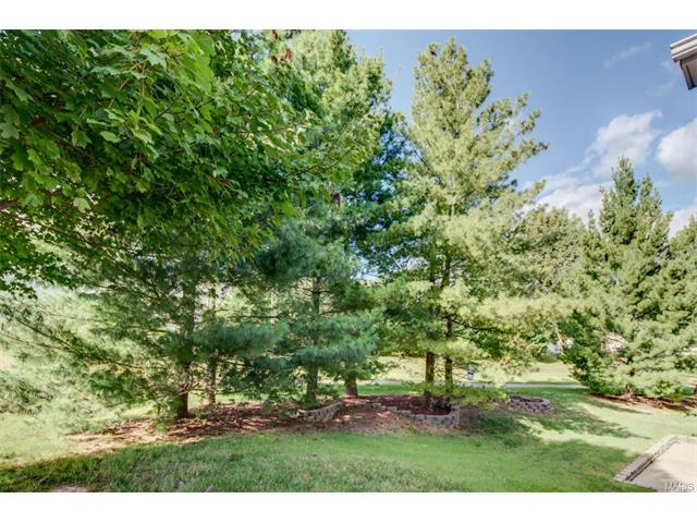 573 Malinmor, Weldon Spring, MO 63304 photo 36