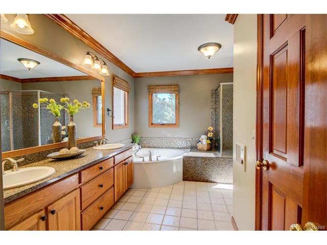 573 Malinmor, Weldon Spring, MO 63304 photo 19