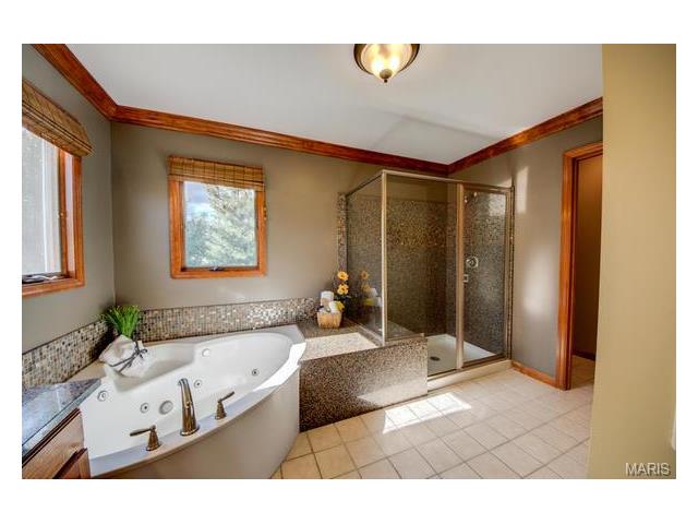 573 Malinmor, Weldon Spring, MO 63304 photo 20