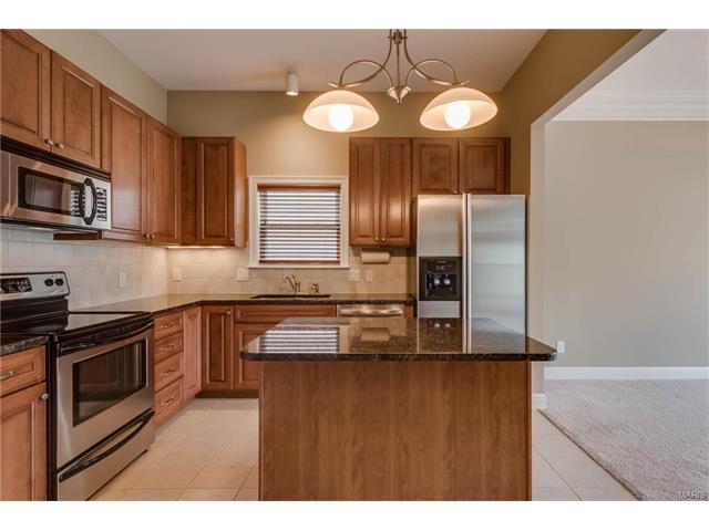 210 Natural Spring Dr, St Peters, MO 63366 photo 4