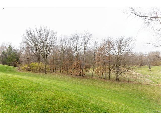1341 Renaissance Pl, Weldon Spring, MO 63304 photo 45