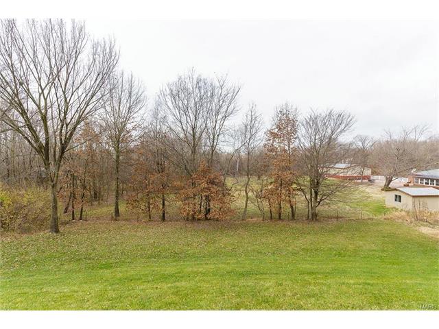 1341 Renaissance Pl, Weldon Spring, MO 63304 photo 44