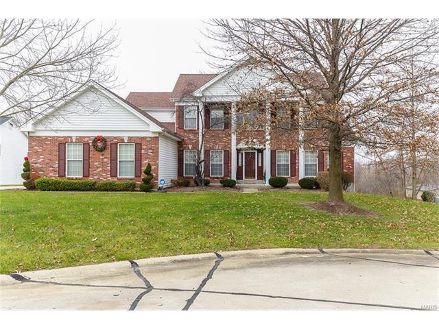 1341 Renaissance Pl, Weldon Spring, MO 63304 photo 1