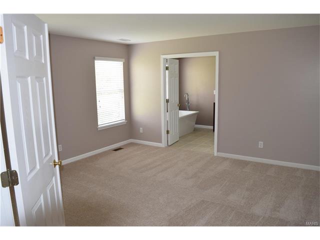 1331 Arbor Bluff Cir, Ballwin, MO 63021 photo 22