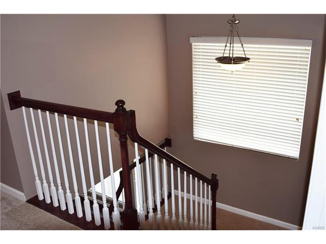 1331 Arbor Bluff Cir, Ballwin, MO 63021 photo 21