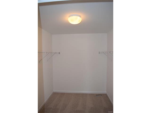 1331 Arbor Bluff Cir, Ballwin, MO 63021 photo 23