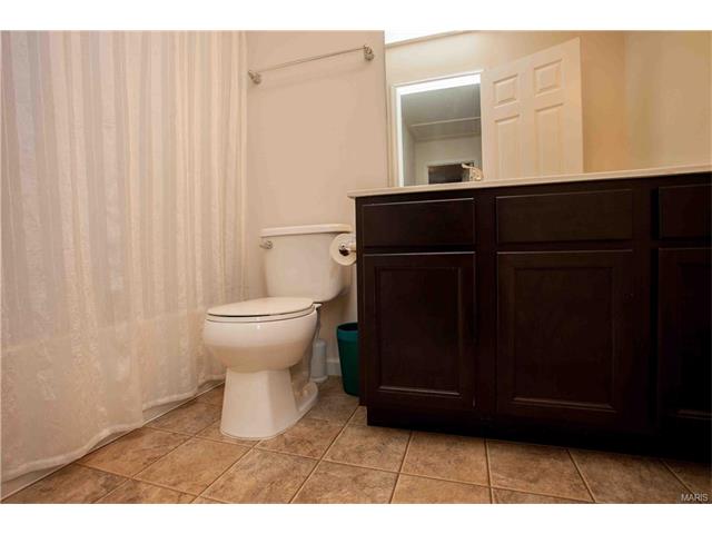 318 Wild Oak Dr, O'fallon, MO 63368 photo 14