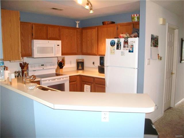 1319 Holgate Dr #D, Ballwin, MO 63021 photo 5
