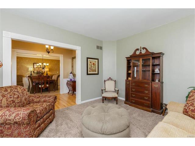 64 Ginger Tree, O'fallon, MO 63368 photo 16