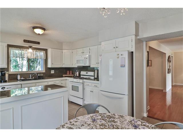 856 Sugar Hill Dr, Ballwin, MO 63021 photo 21