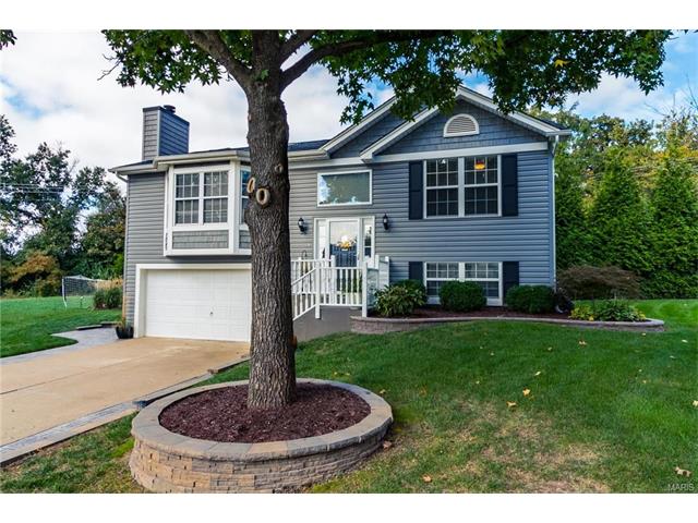 703 Summersong, O'fallon, MO 63366 photo 3