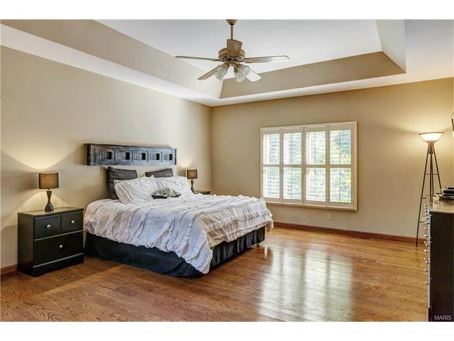 16052 Autumn Oaks Cir, Ellisville, MO 63021 photo 20