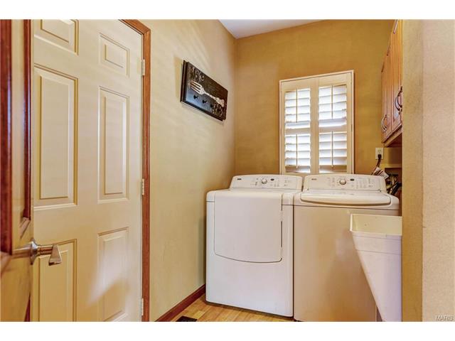16052 Autumn Oaks Cir, Ellisville, MO 63021 photo 18
