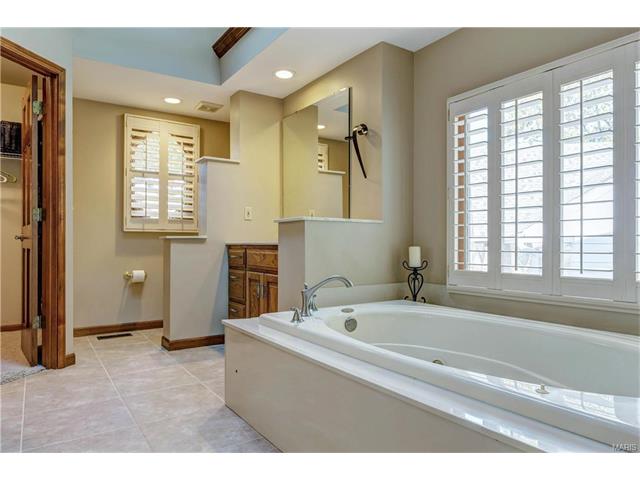 16052 Autumn Oaks Cir, Ellisville, MO 63021 photo 24