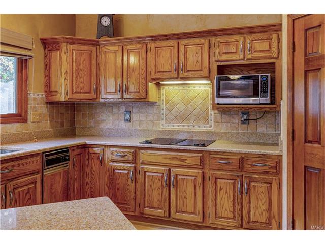 16052 Autumn Oaks Cir, Ellisville, MO 63021 photo 17