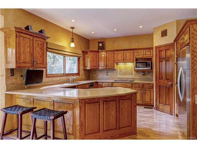 16052 Autumn Oaks Cir, Ellisville, MO 63021 photo 14