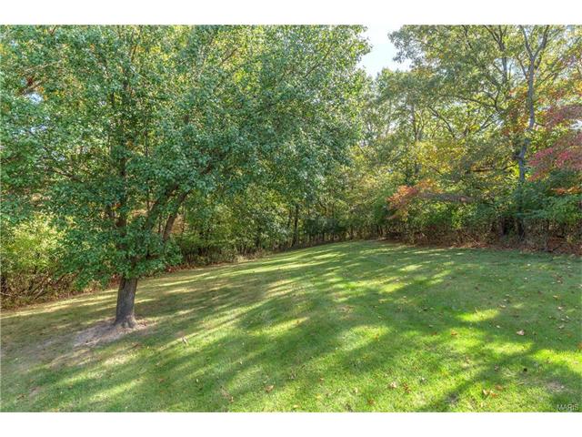 16052 Autumn Oaks Cir, Ellisville, MO 63021 photo 44