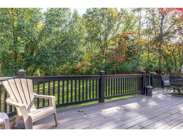 16052 Autumn Oaks Cir, Ellisville, MO 63021 photo 43