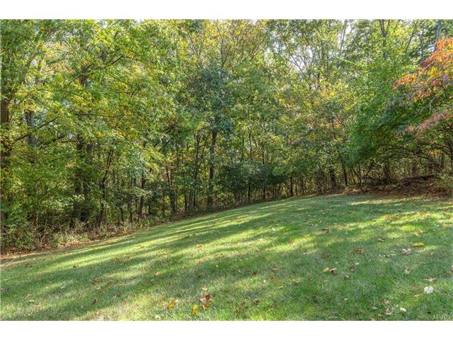 16052 Autumn Oaks Cir, Ellisville, MO 63021 photo 48
