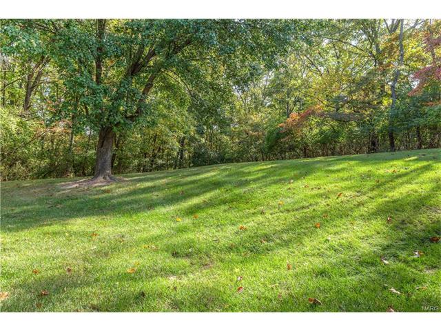 16052 Autumn Oaks Cir, Ellisville, MO 63021 photo 47