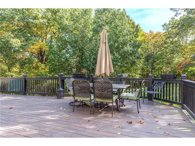 16052 Autumn Oaks Cir, Ellisville, MO 63021 photo 41