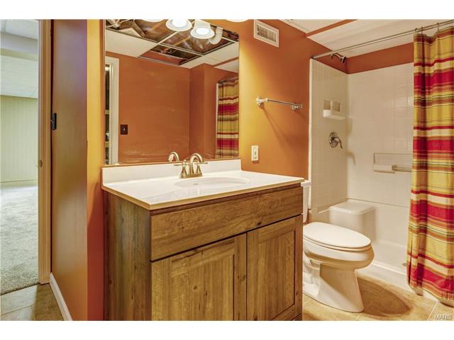 16052 Autumn Oaks Cir, Ellisville, MO 63021 photo 38