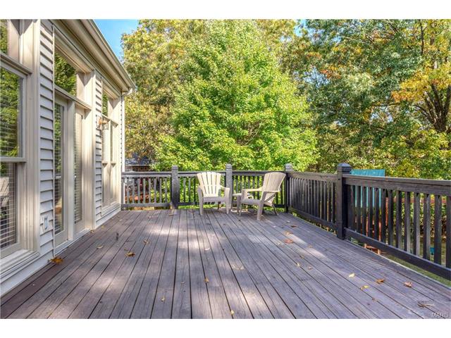 16052 Autumn Oaks Cir, Ellisville, MO 63021 photo 42