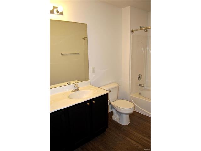 218 Tyndale Dr, O'fallon, MO 63366 photo 16