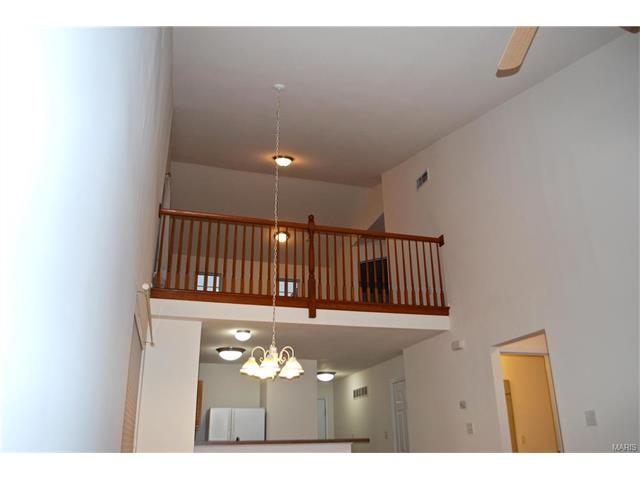 218 Tyndale Dr, O'fallon, MO 63366 photo 12