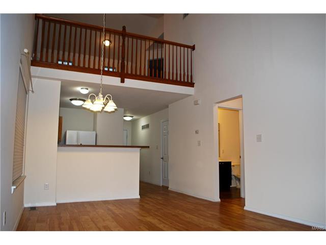 218 Tyndale Dr, O'fallon, MO 63366 photo 11