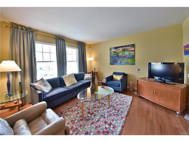 117 Hawks Haven Dr, O'fallon, MO 63368 photo 8