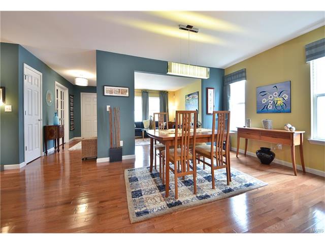 117 Hawks Haven Dr, O'fallon, MO 63368 photo 16