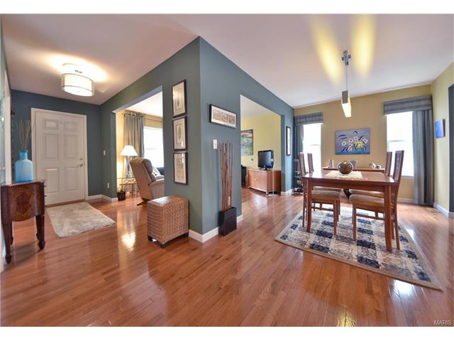 117 Hawks Haven Dr, O'fallon, MO 63368 photo 13