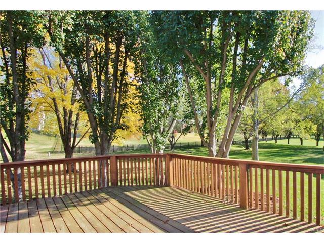 346 Glan Tai Dr, Ballwin, MO 63011 photo 33