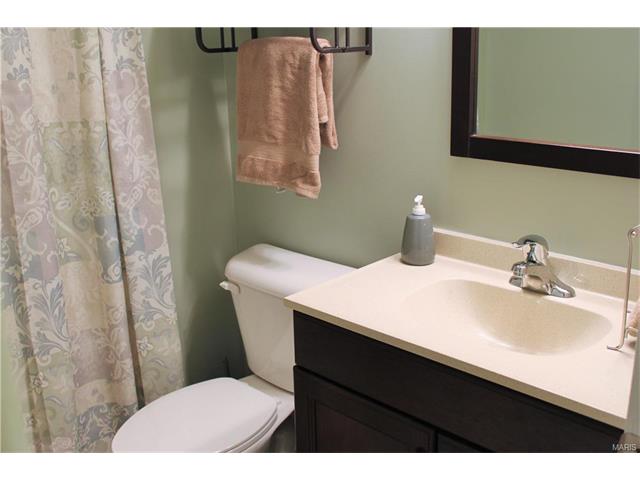 216 Flint Brk, O'fallon, MO 63366 photo 34