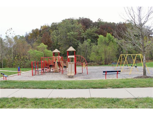 216 Flint Brk, O'fallon, MO 63366 photo 49
