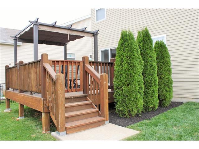 216 Flint Brk, O'fallon, MO 63366 photo 42