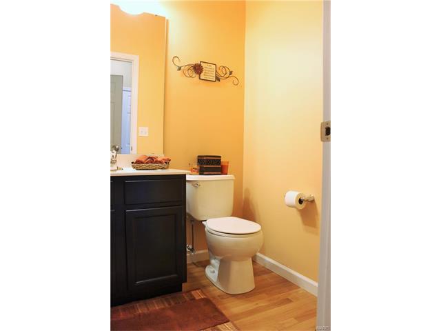 216 Flint Brk, O'fallon, MO 63366 photo 10