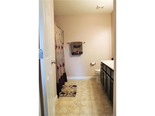 216 Flint Brk, O'fallon, MO 63366 photo 28