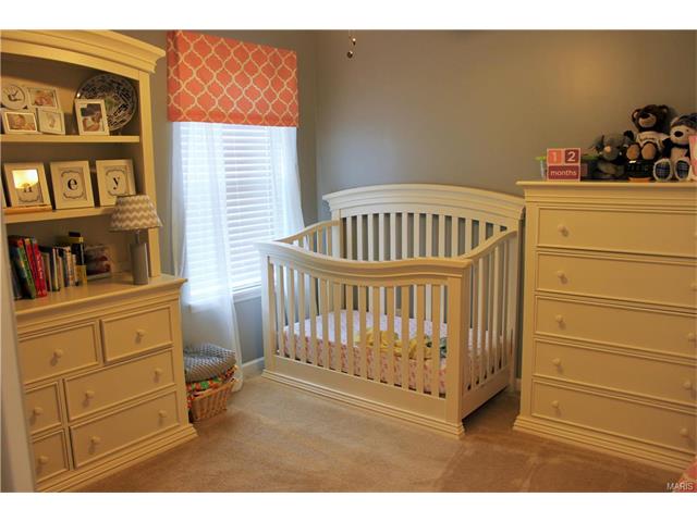 216 Flint Brk, O'fallon, MO 63366 photo 29
