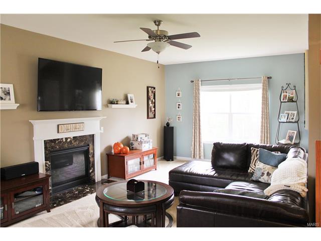 216 Flint Brk, O'fallon, MO 63366 photo 7