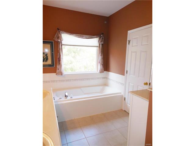 1119 Cypress Point Dr, O'fallon, MO 63366 photo 71